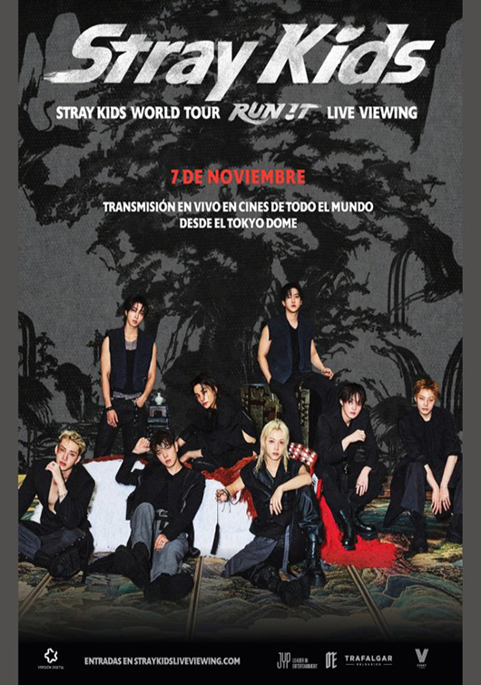 STRAY KIDS WORLD TOUR -RUN IT-  (DIFERIDO)